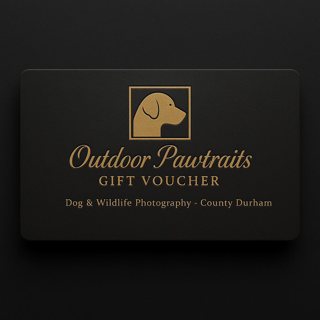 Outdoor Pawtraits gift voucher card